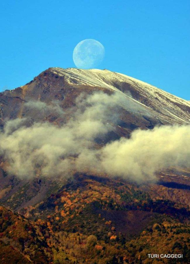 Guest House Le Ginestre Dell'Etna เบลปาสโซ ภายนอก รูปภาพ